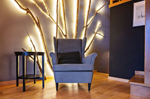 Led horticole pour les professionnels : l'éclairage qui change tout